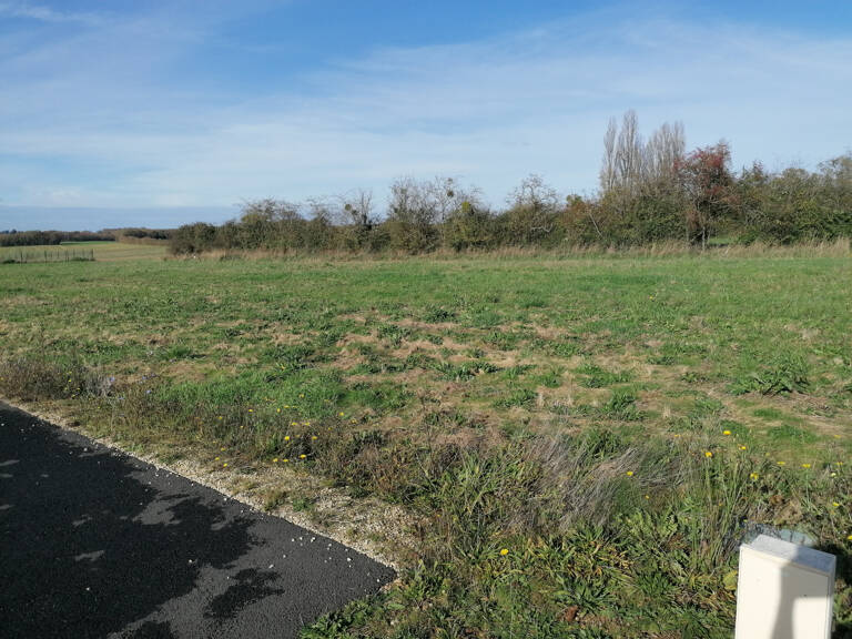 Terrain — photo 1