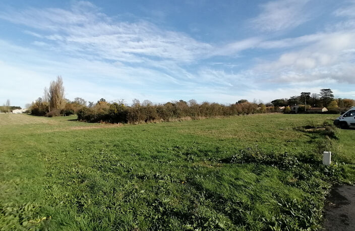 Terrain — photo 2