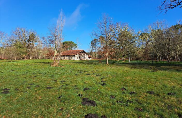 Ensemble immobilier — photo 3