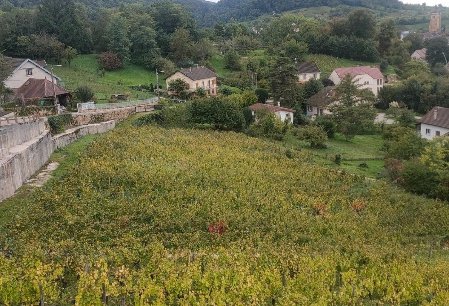 RARE Terrain constructible de 1 514 m² au cœur d'Arbois (JURA) — photo 1