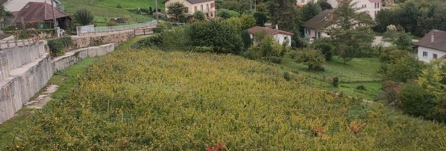 Terrain  1514 m² à vendre à Arbois (39600)