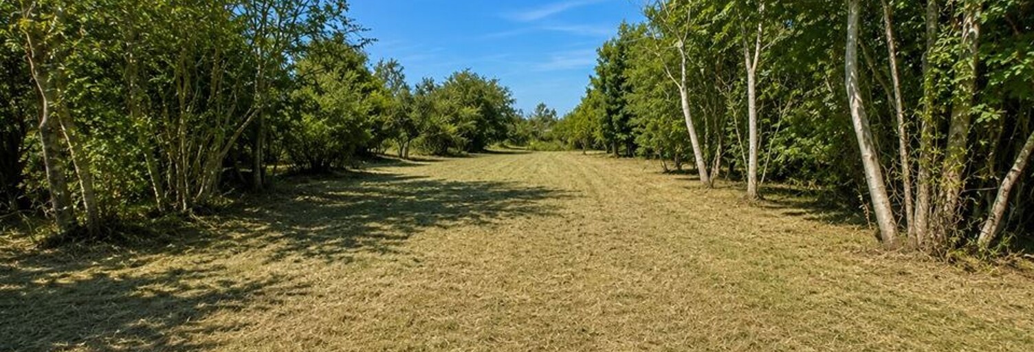 Terrain  614 m² à vendre à Saint-Vigor-le-Grand (14400)