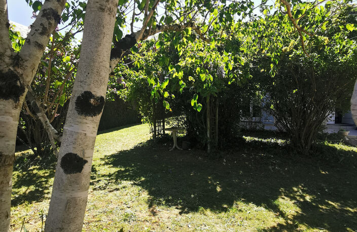 Maison de caractère Olivet - Spacieux Terrain - 4 Ch - 167 m — photo 3