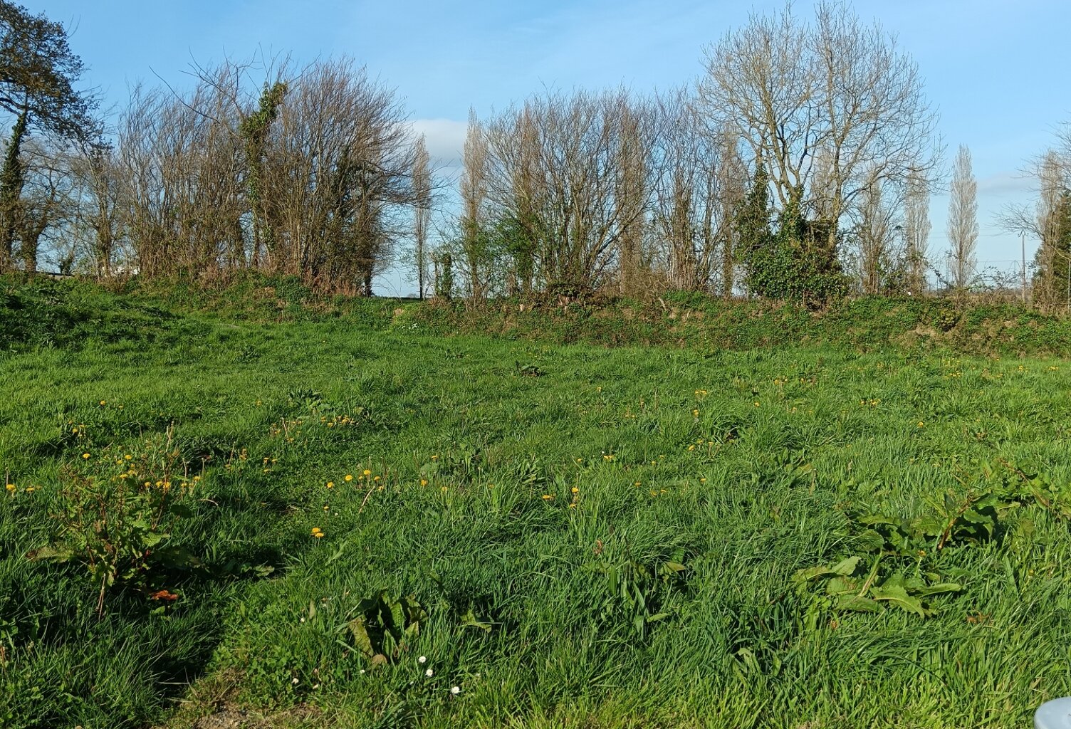 Vente Terrain à bâtir 495 m&sup2; — photo 1
