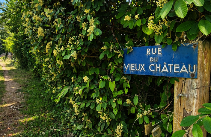 Vente Longère 8 pièces — photo 3