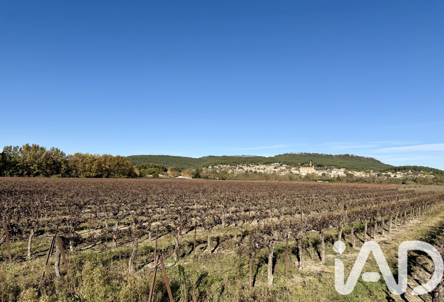 Vente Terrain agricole 9 763 m&sup2; — photo 1