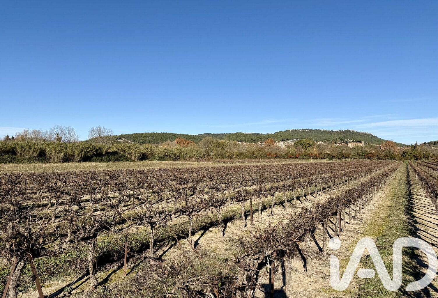 Vente Terrain agricole 14 667 m&sup2; — photo 1