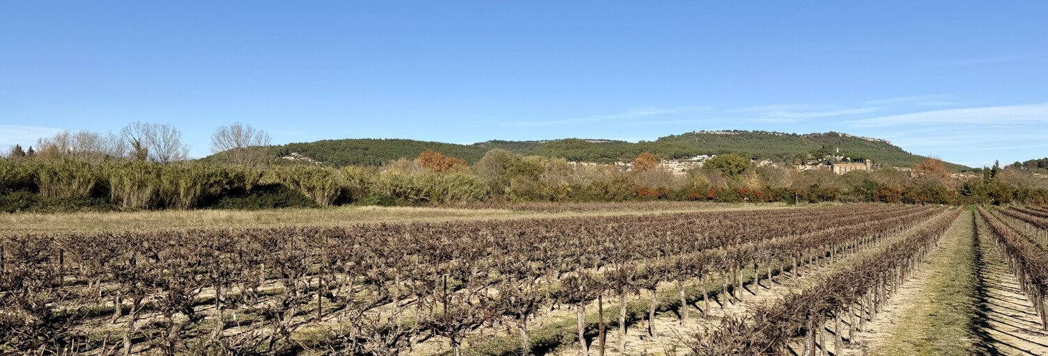 Terrain  14667 m² à vendre à Laudun-l'Ardoise (30290)