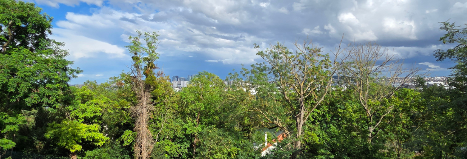 Appartement 1 Pièce 36 m² à vendre à Carrières-sur-Seine (78420)