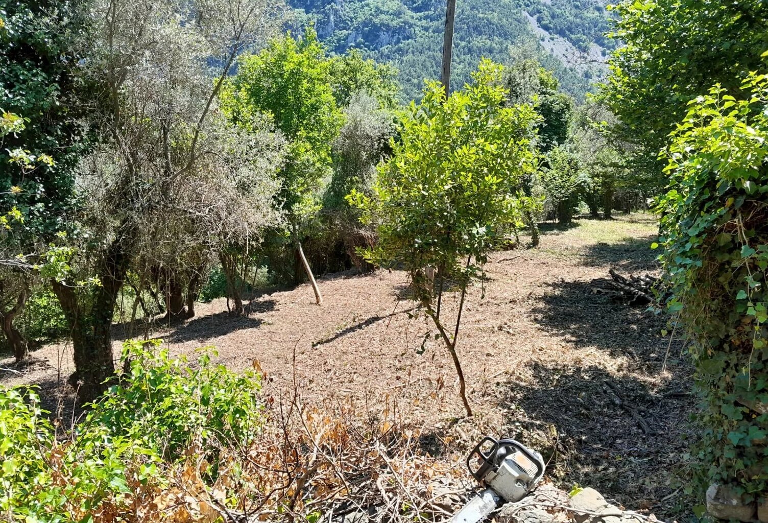 LEVENS - DURANUS - TERRAIN 1902 m2 CONSTRUCTIBLE — photo 1