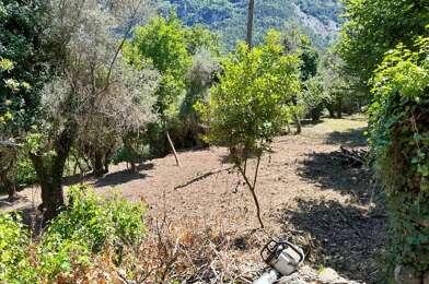 Terrain  135000 €