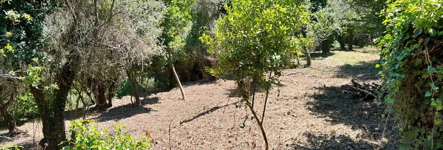 Terrain  1902 m² à vendre à Levens (06670)