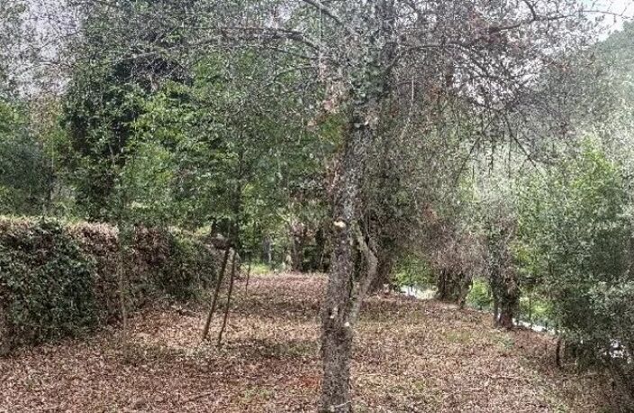 LEVENS - DURANUS - TERRAIN 1902 m2 CONSTRUCTIBLE — photo 4