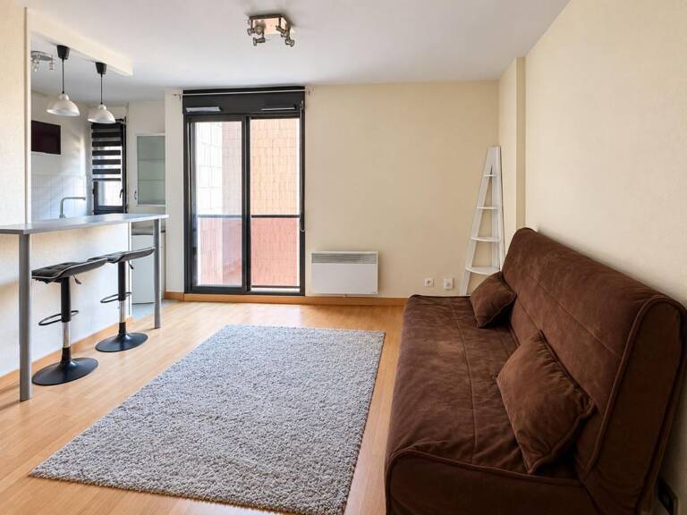 Toulouse Centre, Charmant T1 de 27 m², Calme avec de très faibles charges — photo 1