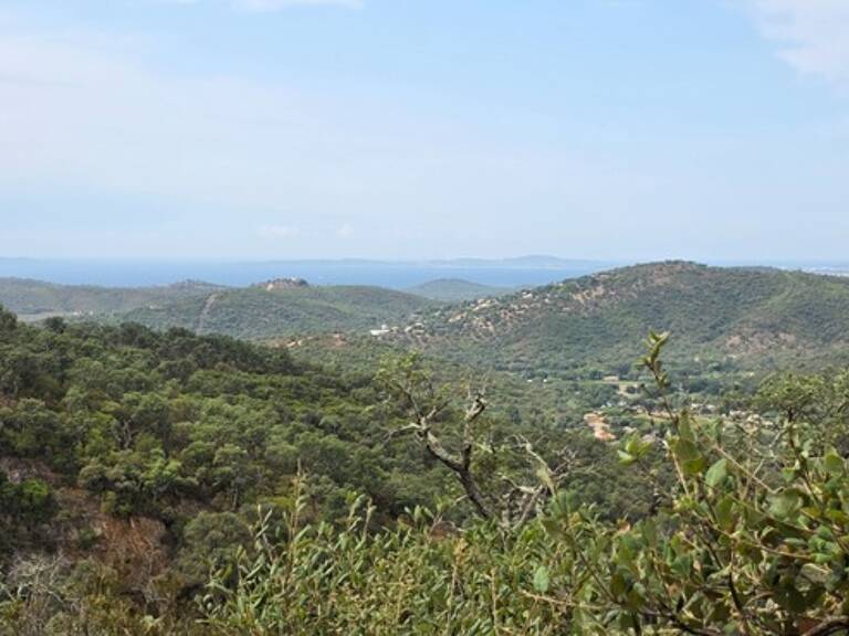 Terrain à vendre de 37 235,00 m² BORMES LES MIMOSAS (83) — photo 1