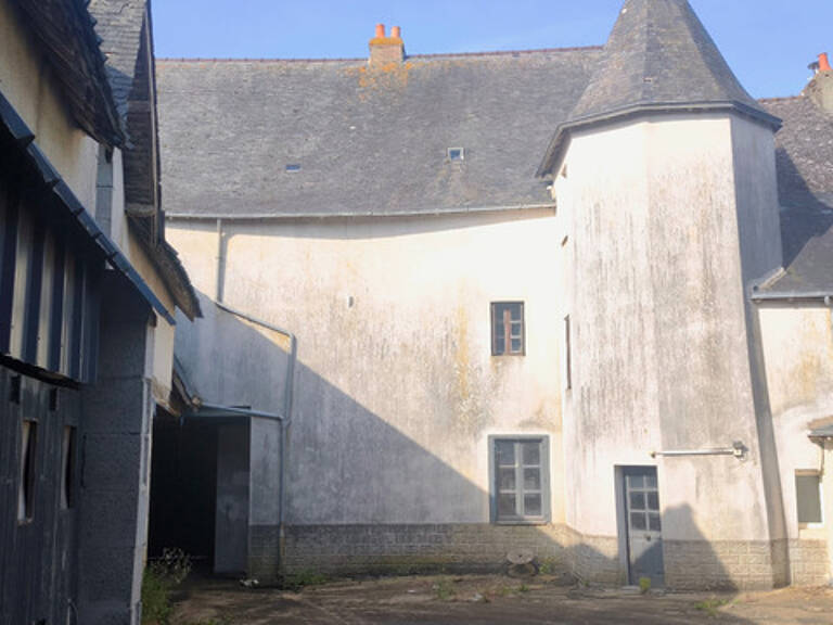 Ensemble immobilier Chémeré-le-Roi — photo 1