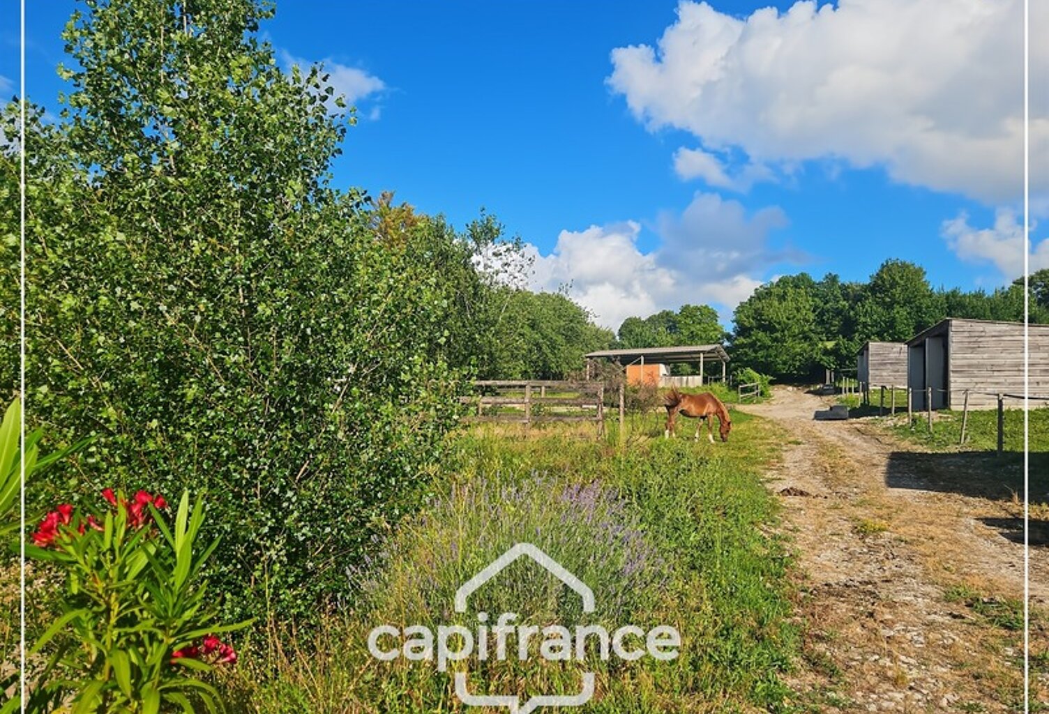 Propriété en pierre avec installations équestres complètes à 30 minutes d'Agen — photo 1