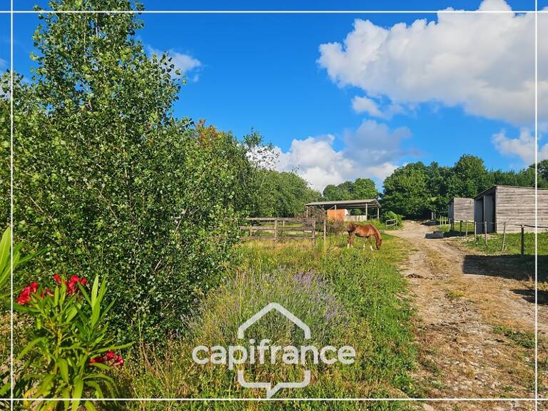 Propriété en pierre avec installations équestres complètes à 30 minutes d'Agen — photo 1