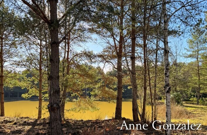 VIENNE EN VAL, à trente minutes d'ORLEANS aux portes de l'Orée de Sologne Propriété à vendre avec 24 hectares boisés et son étang de 5000 m2 — photo 4