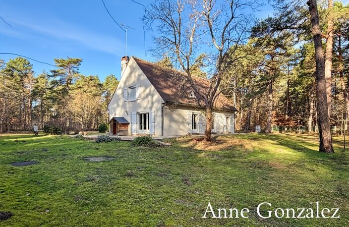 VIENNE EN VAL, à trente minutes d'ORLEANS aux portes de l'Orée de Sologne Propriété à vendre avec 24 hectares boisés et son étang de 5000 m2 — photo 5