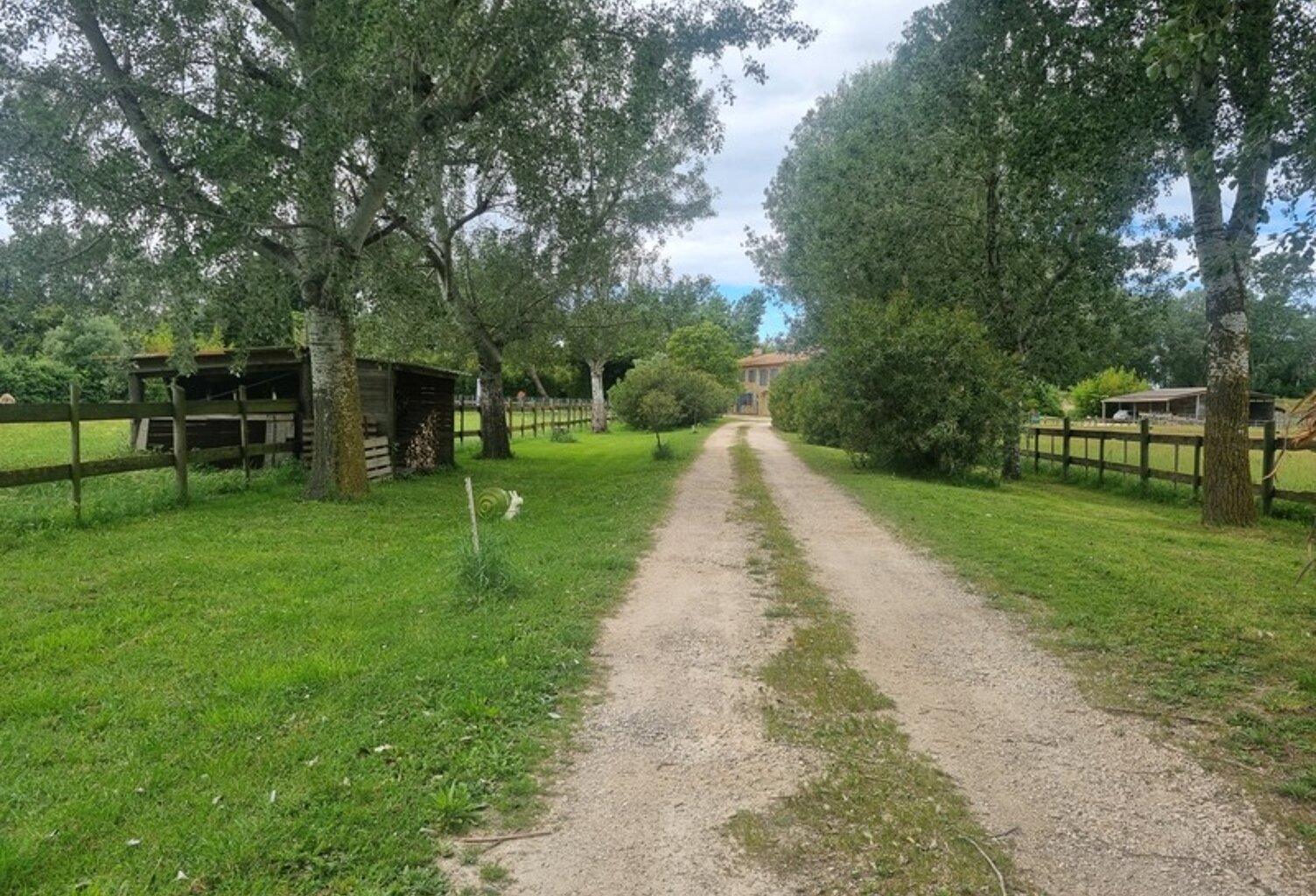 Mas de Charme en Camargue – 3 Habitations, Dépendances et Piscine — photo 1