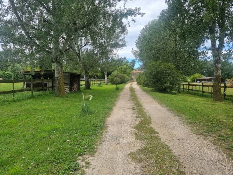 Mas de Charme en Camargue – 3 Habitations, Dépendances et Piscine — photo 1