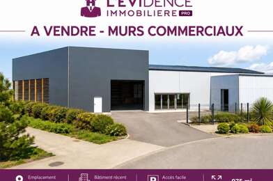Local industriel  1300000 €