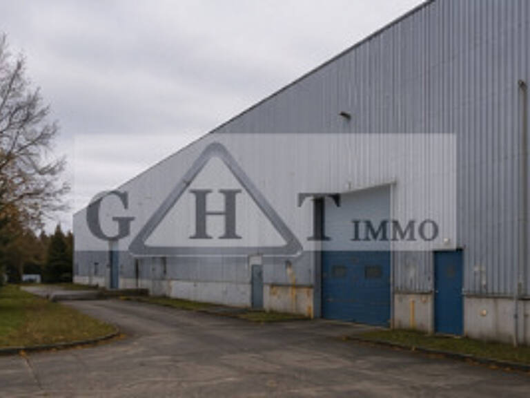 A vendre Entrepôt de 5500 m²-BUC — photo 1