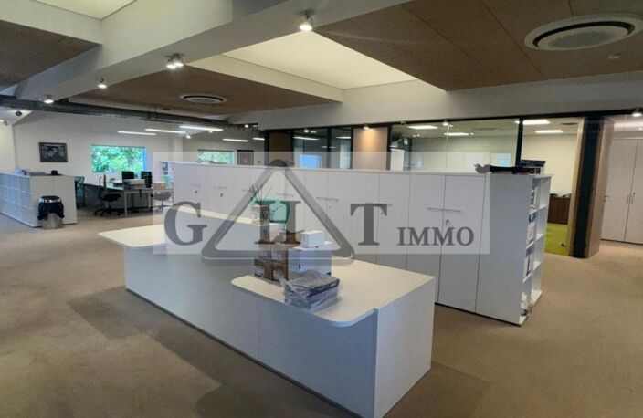 ENTREPOT BUREAUX 960 M2 A LA VENTE A CHAMPIGNY SUR MARNE — photo 4