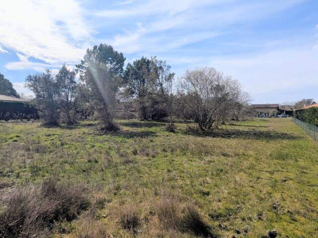 Terrain À Vendre — photo du bien