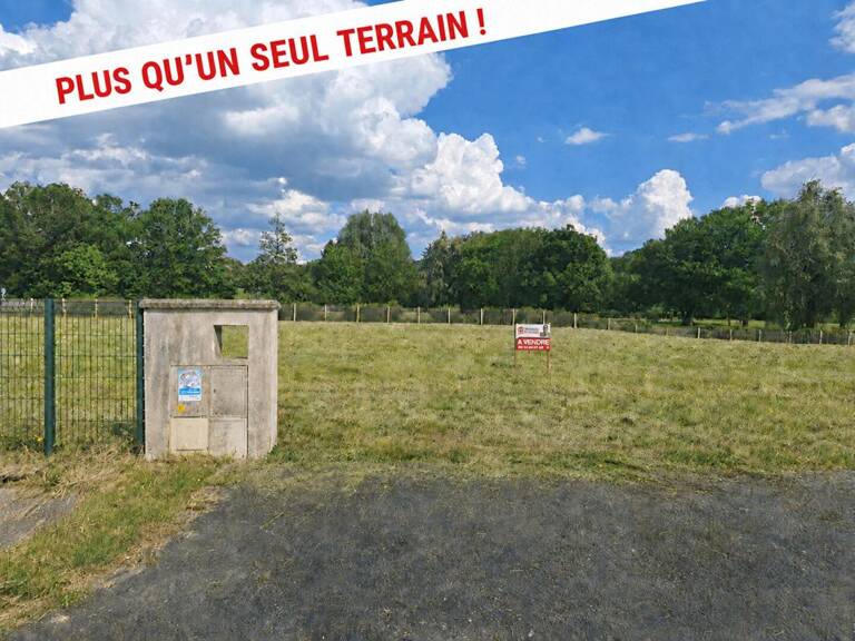 TERRAIN — photo 1
