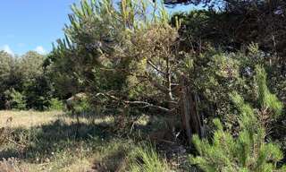 Terrain  571 m² à vendre à Soulac-sur-Mer (33780)
