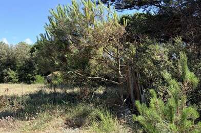 Terrain  220000 €