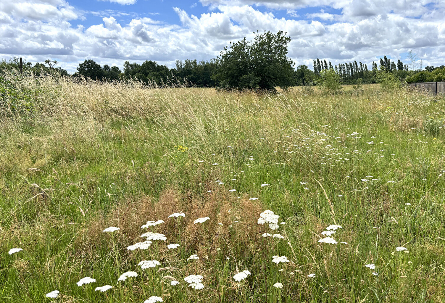 Terrain constructible de 590 m² viabilisé à Montauban secteur Birac — photo 1