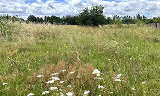 Terrain  786 m² à vendre à Montauban (82000)