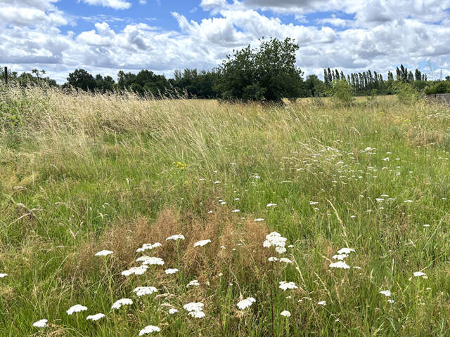 Terrain constructible de 590 m² viabilisé à Montauban secteur Birac — photo du bien