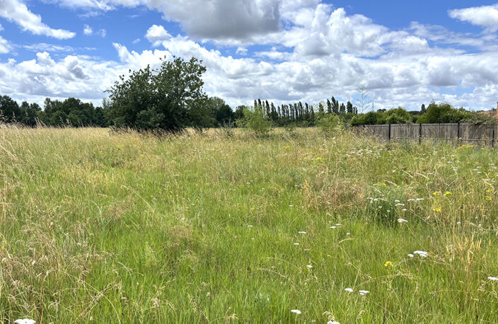 Terrain constructible de 590 m² viabilisé à Montauban secteur Birac — photo 3