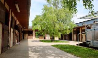 Maison 7 Pièces 152 m² à vendre à Les Églises-d'Argenteuil (17400)