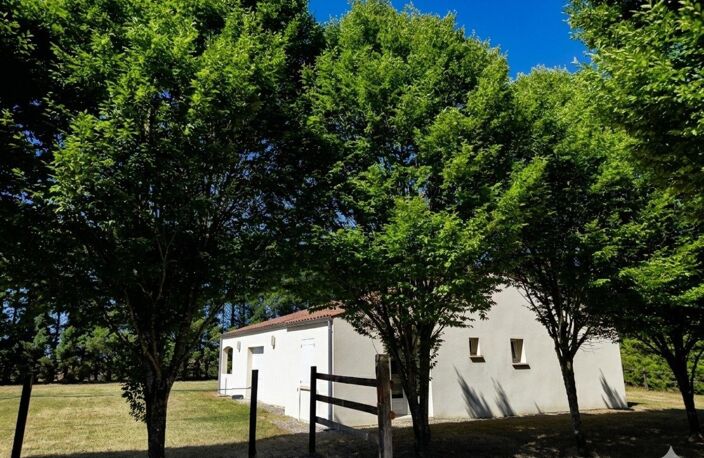 Domaine équestre de 8 hectares avec une belle villa de 150m² — photo 3