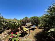 Maison - 69m² - Penta-di-Casinca — photo 2