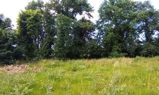 Terrain  1216 m² à vendre à Lège (33950)