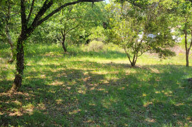 Terrain  330000 €