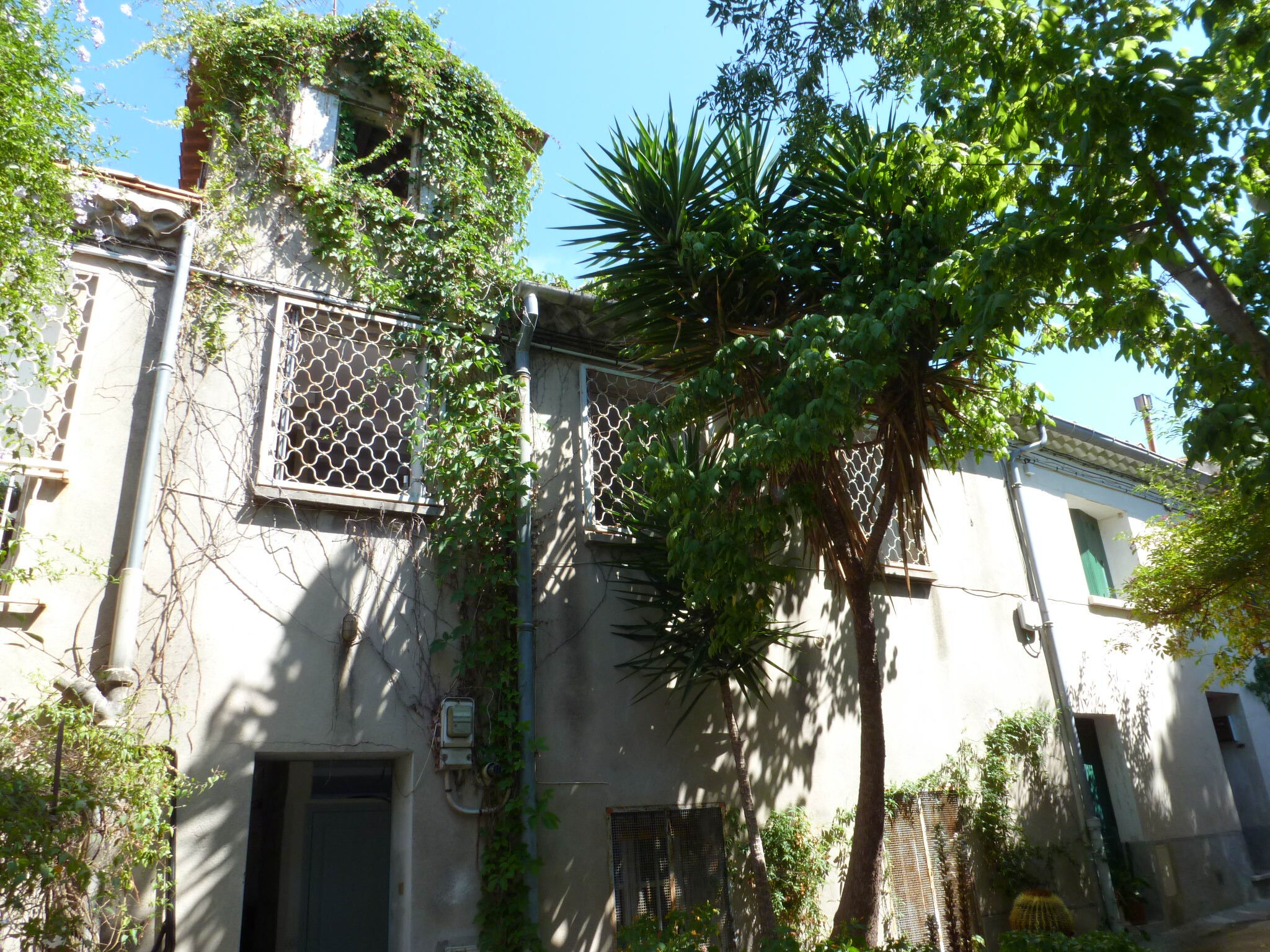 Appartement  T1 à louer Montpellier 34000