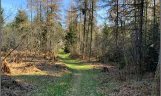 Terrain  15821 m² à vendre à Le Tholy (88530)