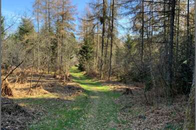 Terrain  59000 €