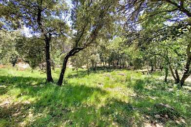 Terrain  294000 €