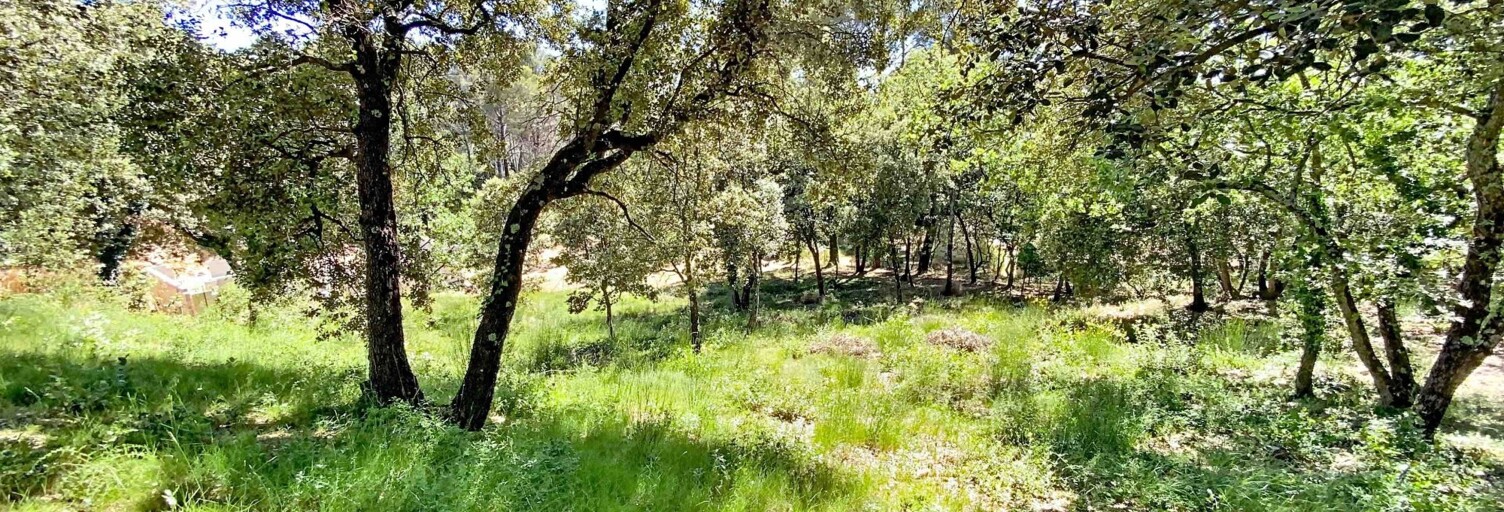 Terrain  2000 m² à vendre à Puget (84360)