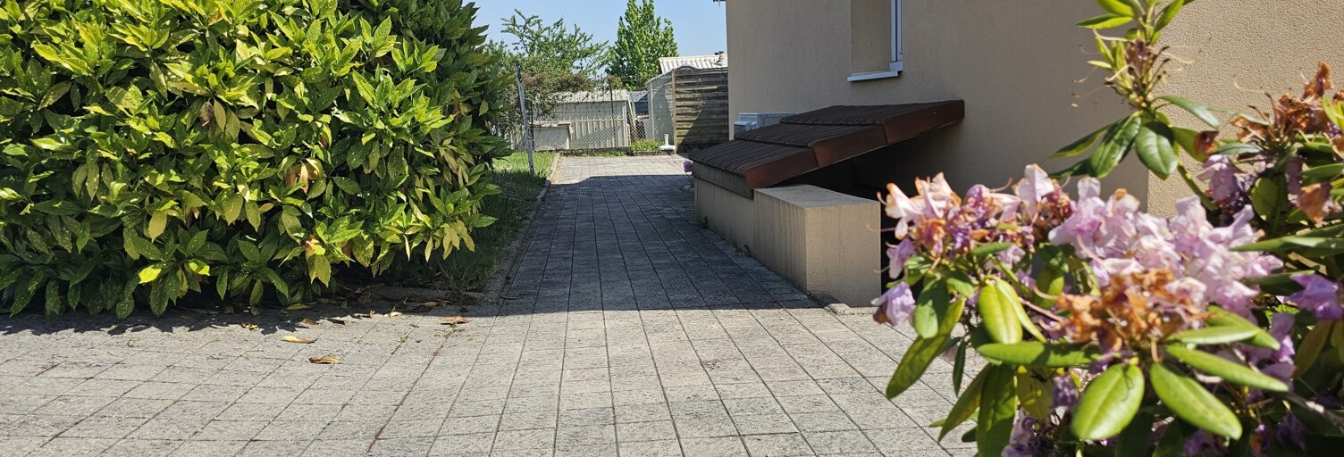 Photo N° 2