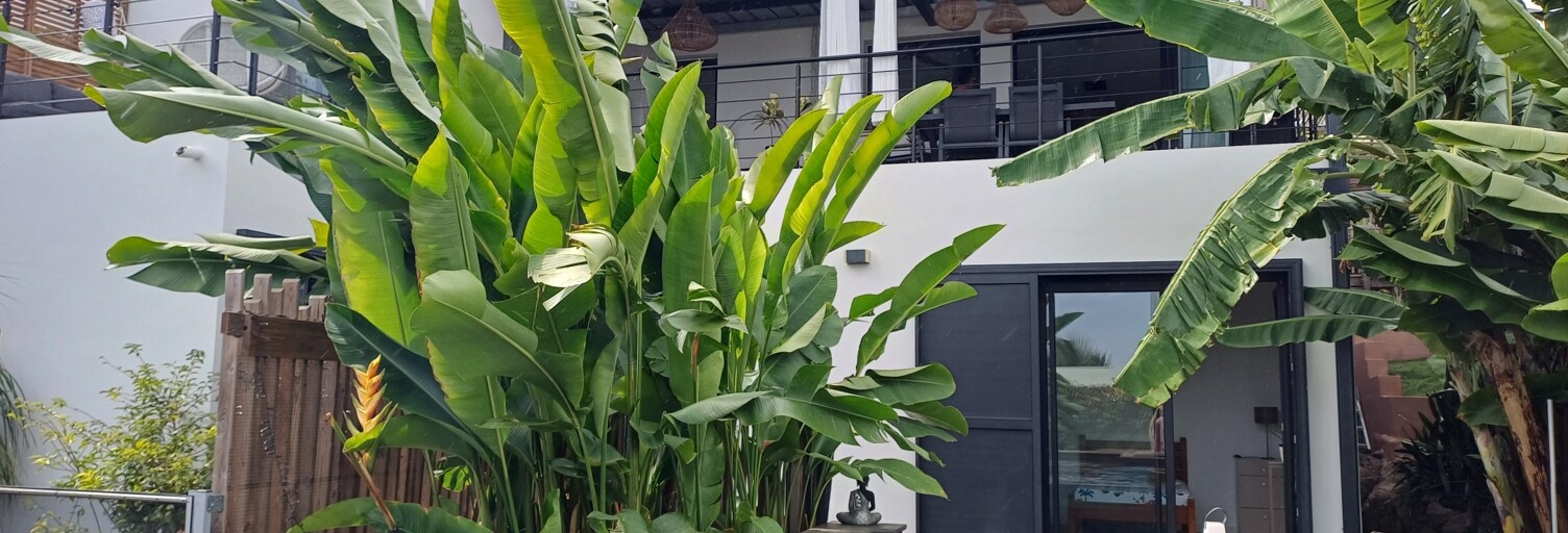 Maison 4 Pièces 112 m² à vendre à Saint-Leu (97424)
