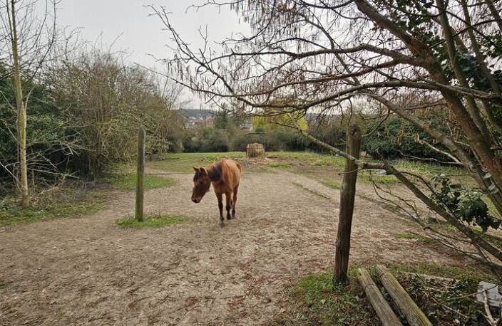 Terrain à bâtir de 0 pièces principales — photo 2